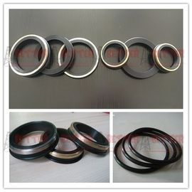 SPM FMC WECO Hammer Union Seal  lip seal brass back